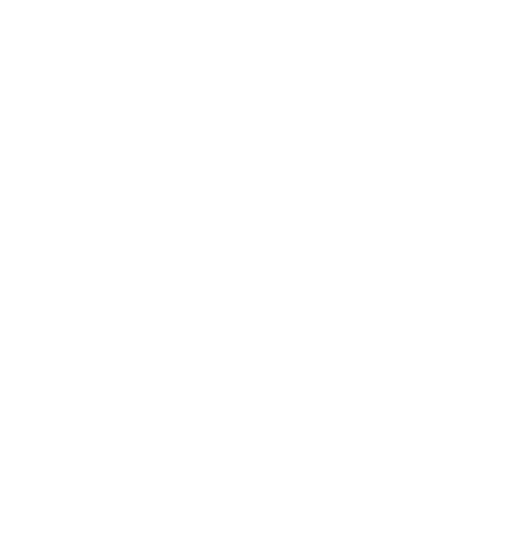 TripAdvisor